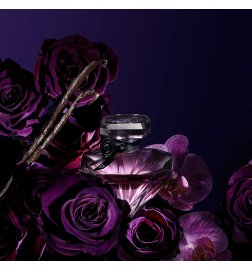 La Nuit Trésor - Eau de Parfum La Nuit Trésor - Eau de Parfum